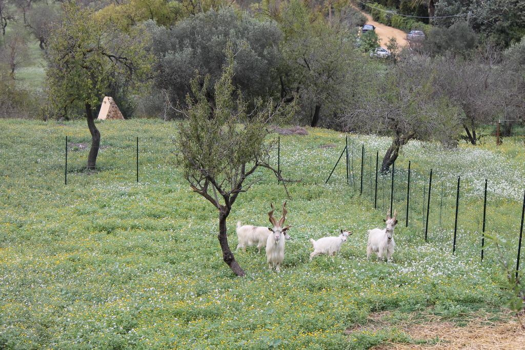 B&B Nettuno San Leone Luaran gambar
